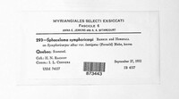 Sphaceloma symphoricarpi image